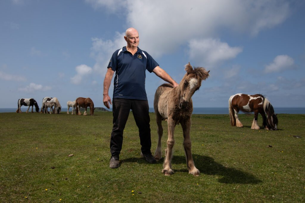 Nicky Beynon with his Gower ponies at Rhossili on the Gower Peninsula, South Wales – photo by Joann Randles / HIVE INSIDER
