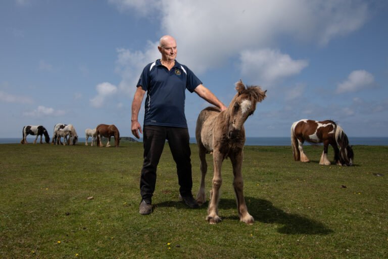 Nicky Beynon with his Gower ponies at Rhossili on the Gower Peninsula, South Wales – photo by Joann Randles / HIVE INSIDER