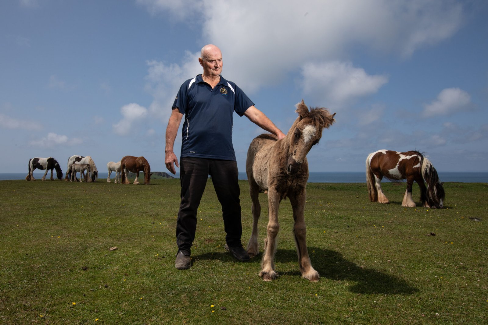 Nicky Beynon with his Gower ponies at Rhossili on the Gower Peninsula, South Wales – photo by Joann Randles / HIVE INSIDER